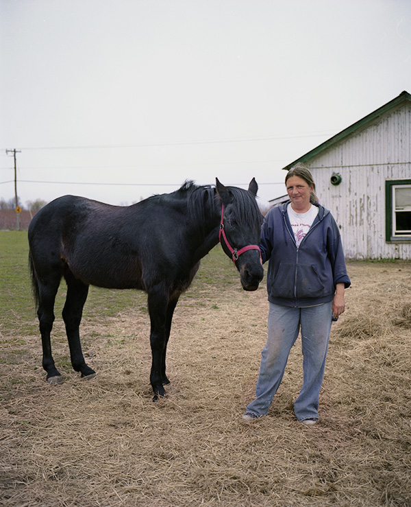 cheri stormy rescue horse